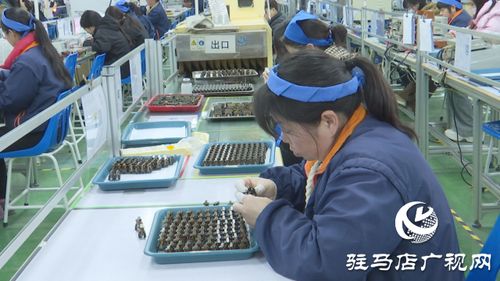 泌陽銘普電子 以科技為引擎，沖刺首季開門紅，引領通信技術新浪潮